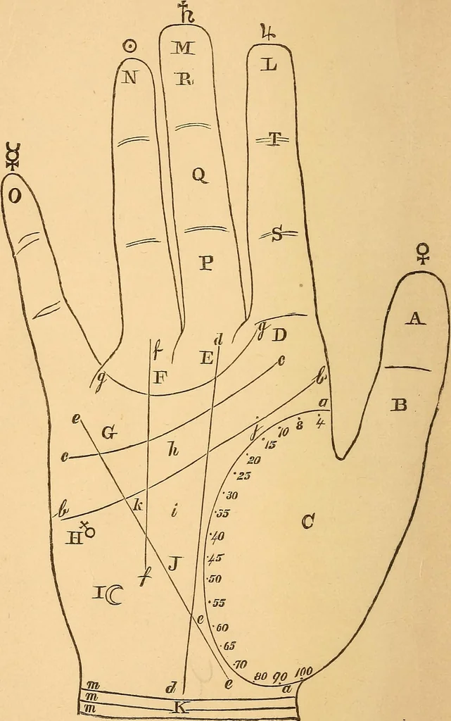 An illustration from The language of the hand, being a concise exposition of the principles and practice of the art of reading the hand, 1899, leaf 7