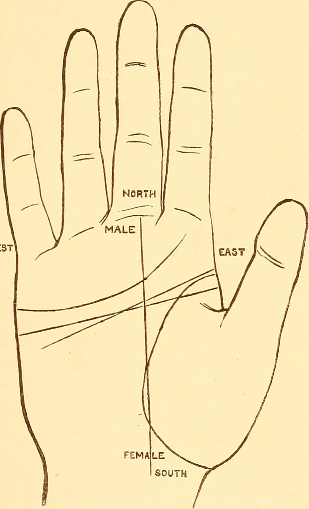 An illustration from The language of the hand, being a concise exposition of the principles and practice of the art of reading the hand, 1899, leaf 84