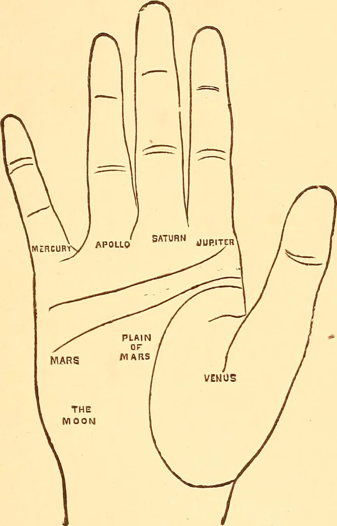An illustration from The language of the hand, being a concise exposition of the principles and practice of the art of reading the hand, 1899, leaf 88