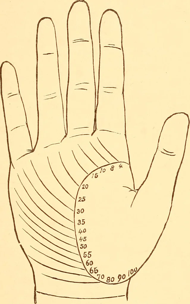 An illustration from The language of the hand, being a concise exposition of the principles and practice of the art of reading the hand, 1899, leaf 92