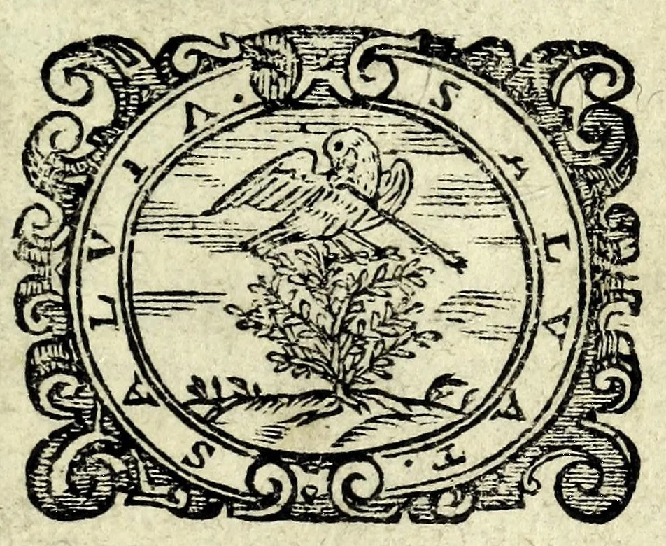 An illustration from L'anima dell'intrico : comedia nova, & piaceuole, 1626, leaf 3