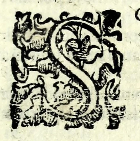 An illustration from L'anima dell'intrico : comedia nova, & piaceuole, 1626, leaf 31