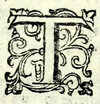 An illustration from L'anima dell'intrico : comedia nova, & piaceuole, 1626, leaf 9