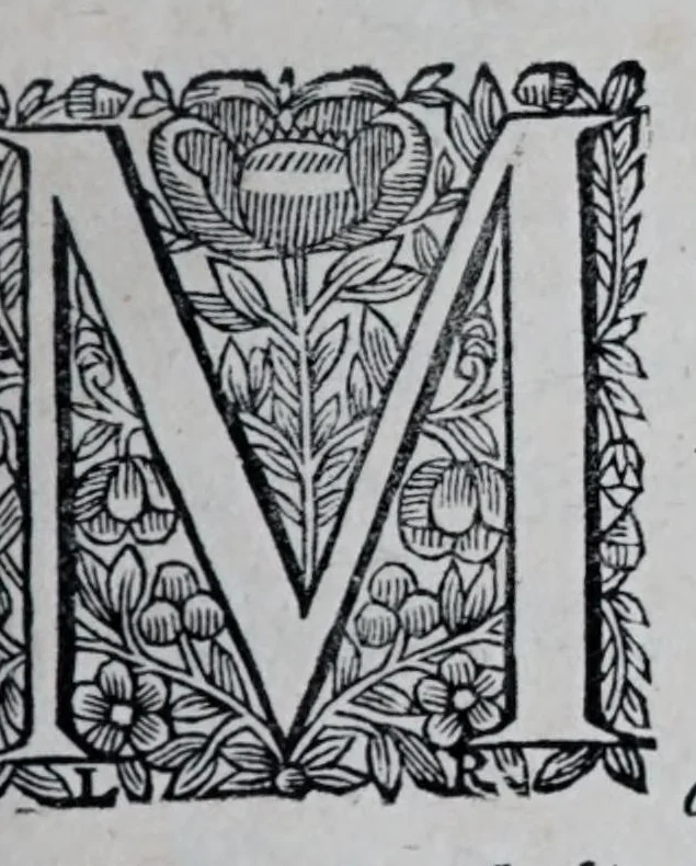 An illustration from La nouvelle fortification, 1645, leaf 5