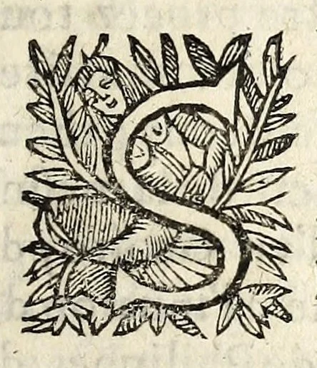An illustration from L'Anti-Hvgvenot av Dvc de Rohan. Povr response a son manifeste, ou declaration., 1627, leaf 5