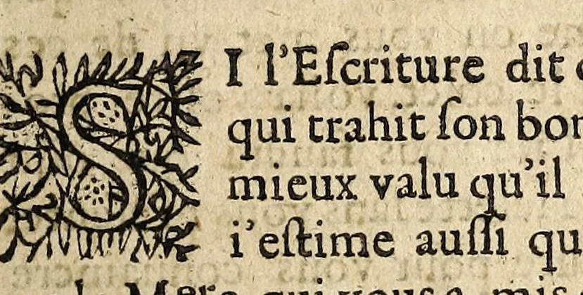 An illustration from L'Anti-Hvgvenot av Dvc de Rohan. Povr response a son manifeste, ou declaration., 1627, leaf 11