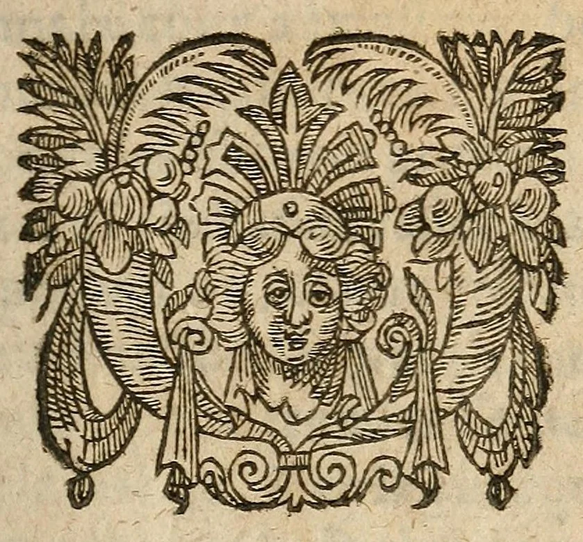 An illustration from L'anti-morgard svr ses predictions de la presente annee mil six cens quatorze, 1614, leaf 1