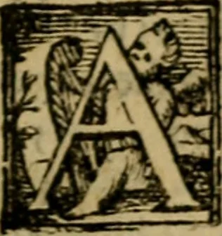 An illustration from L'antiqvità di Roma : sito, imperadori, famiglie, statue, chiese, corpi santi, reliquie, pontefici, & cardinali di essa, 1575, leaf 10