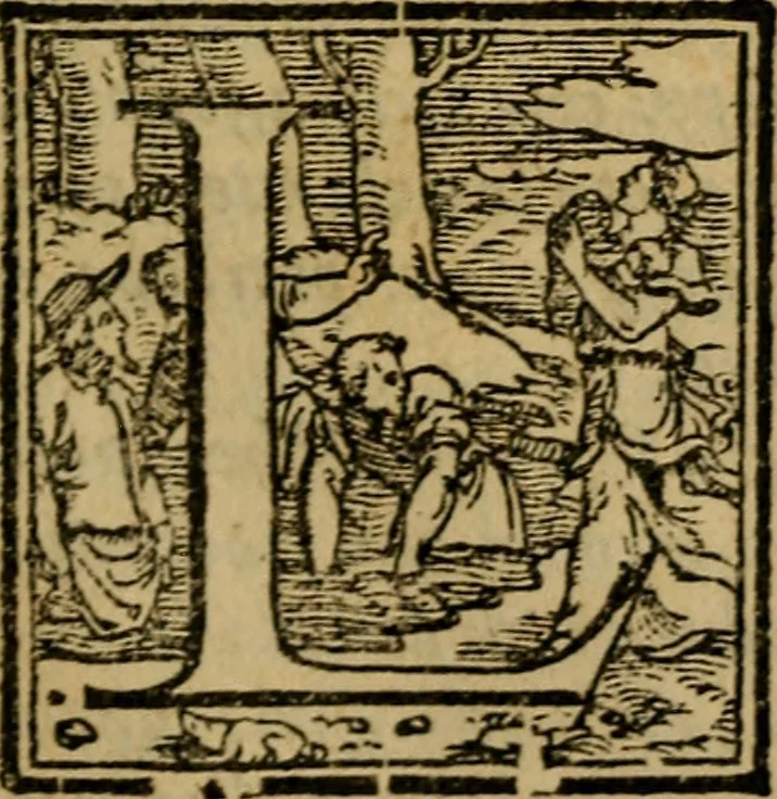 An illustration from L'antiqvità di Roma : sito, imperadori, famiglie, statue, chiese, corpi santi, reliquie, pontefici, & cardinali di essa, 1575, leaf 20