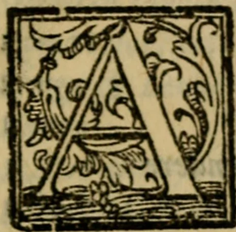 An illustration from L'antiqvità di Roma : sito, imperadori, famiglie, statue, chiese, corpi santi, reliquie, pontefici, & cardinali di essa, 1575, leaf 250