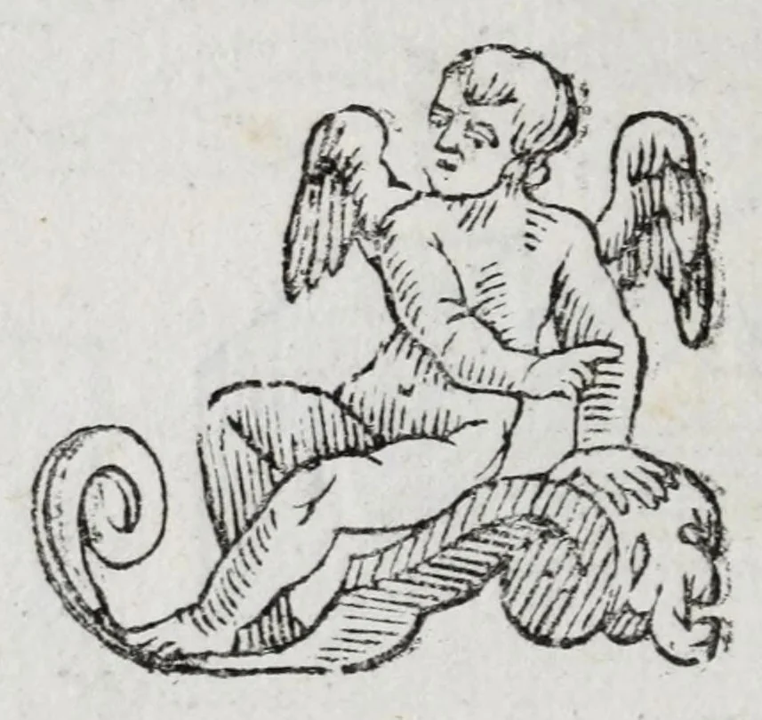 An illustration from La nuoua architettura militare d'antica rinouata, 1683, leaf 140