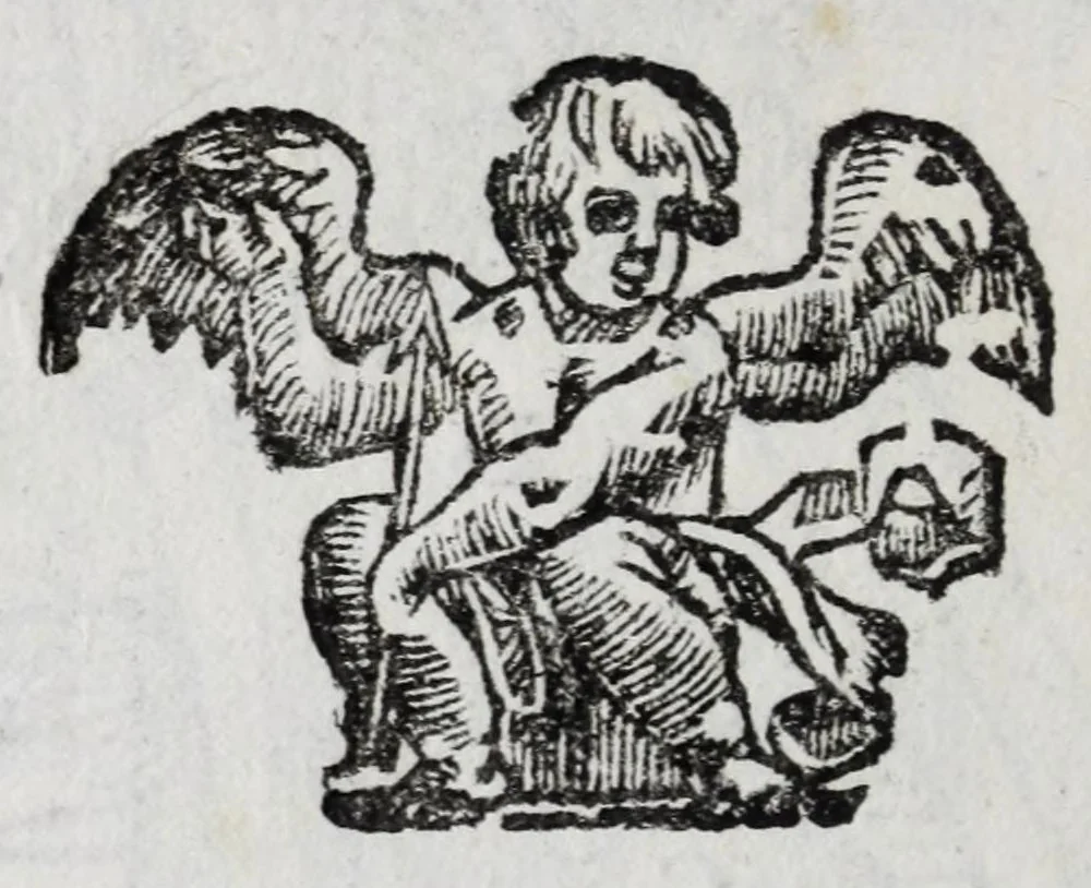 An illustration from La nuoua architettura militare d'antica rinouata, 1683, leaf 144