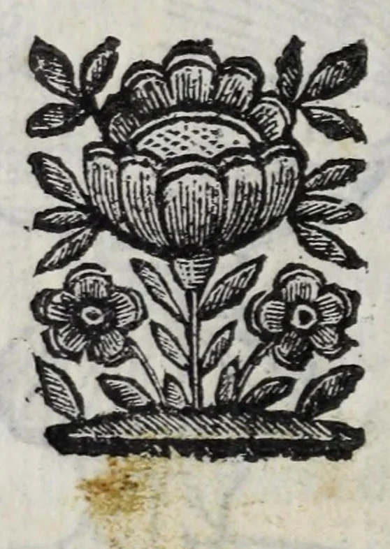 An illustration from La nuoua architettura militare d'antica rinouata, 1683, leaf 176