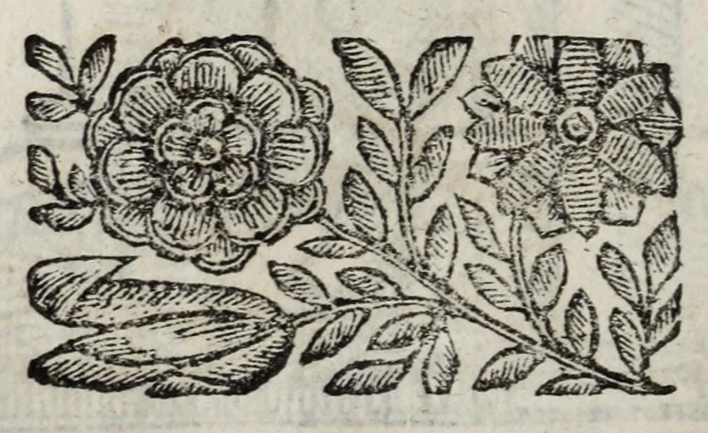 An illustration from La nuoua architettura militare d'antica rinouata, 1683, leaf 180