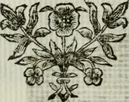 An illustration from La nuova architettura civile, e militare, 1717, leaf 117