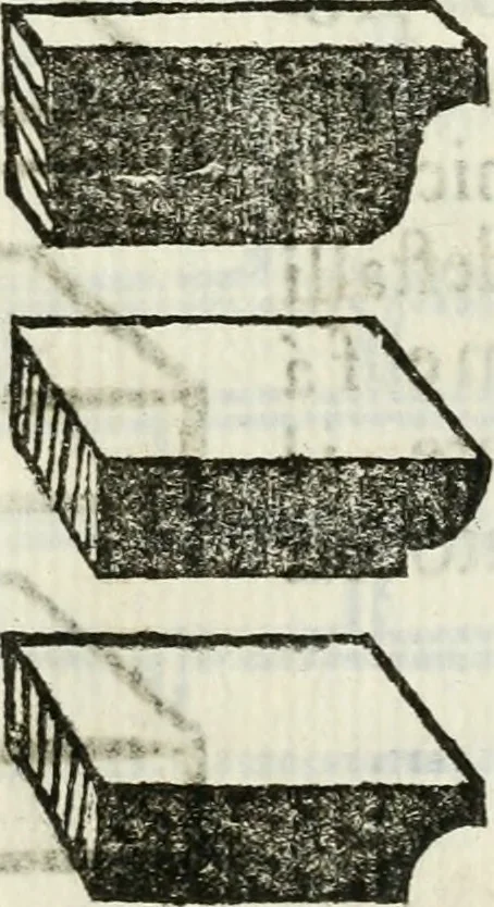 An illustration from La nuova architettura civile, e militare, 1717, leaf 118