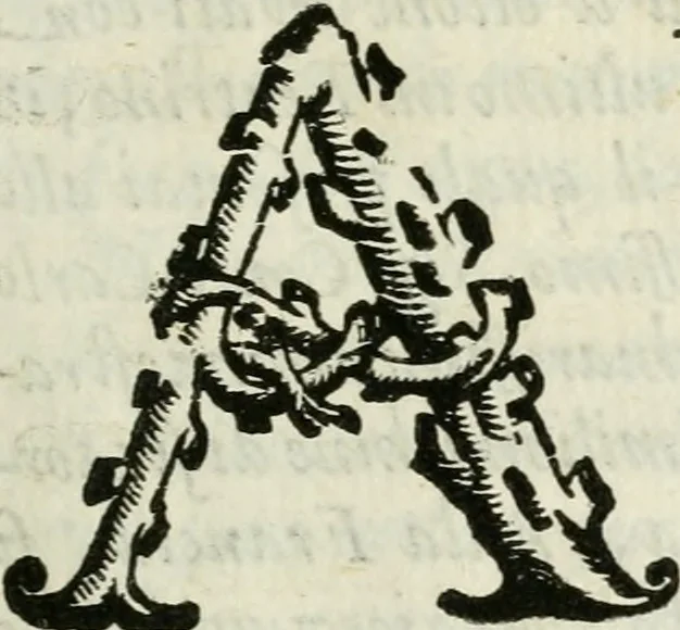 An illustration from La nuova architettura civile, e militare, 1717, leaf 14