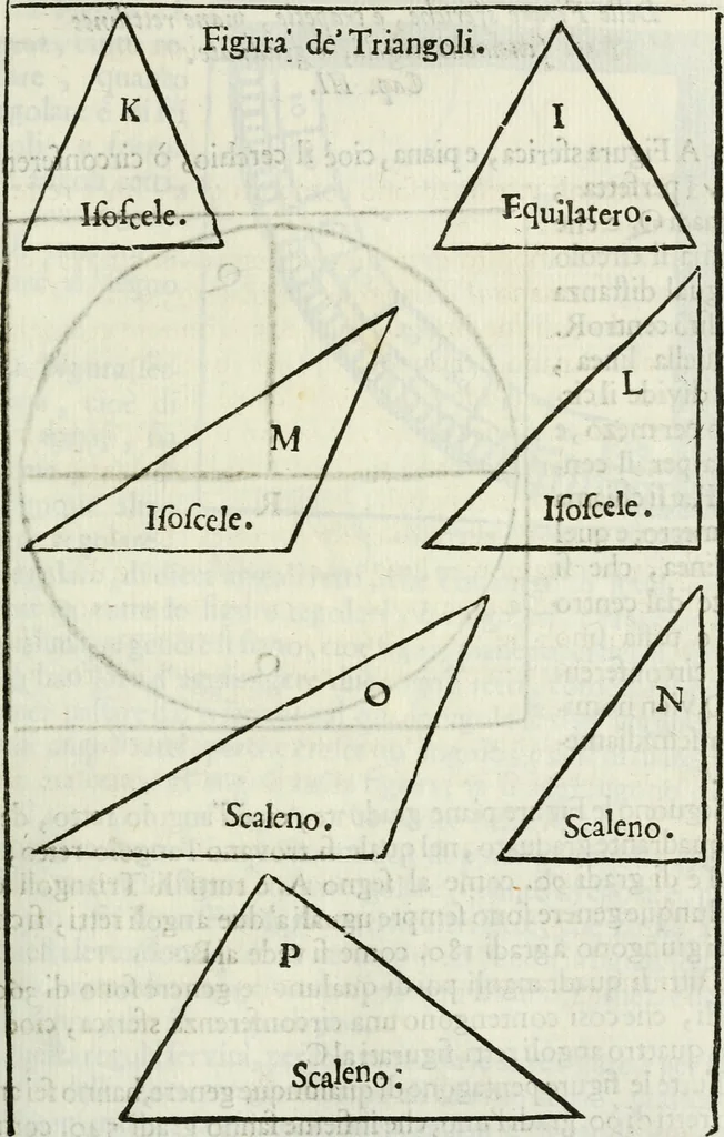 An illustration from La nuova architettura civile, e militare, 1717, leaf 222