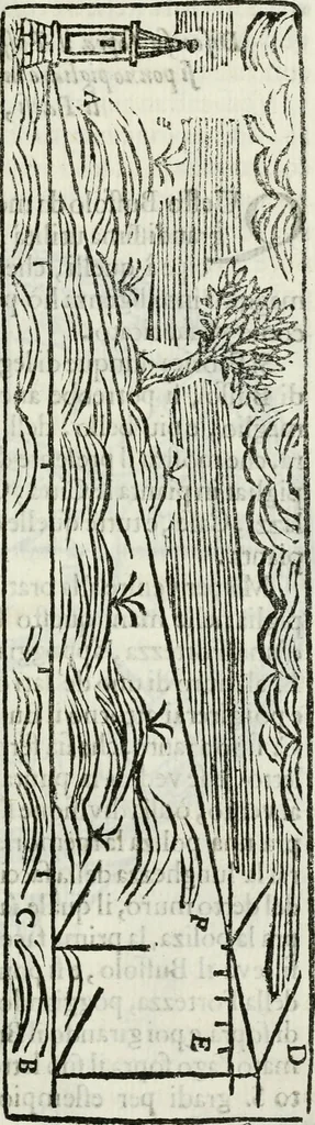 An illustration from La nuova architettura civile, e militare, 1717, leaf 240