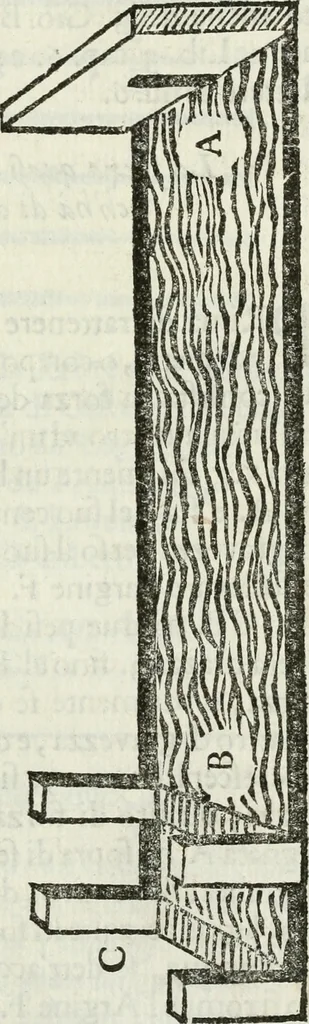 An illustration from La nuova architettura civile, e militare, 1717, leaf 260