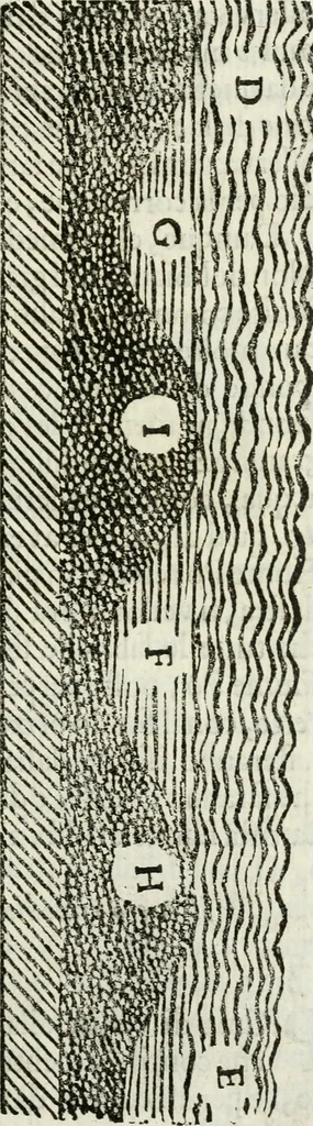 An illustration from La nuova architettura civile, e militare, 1717, leaf 278