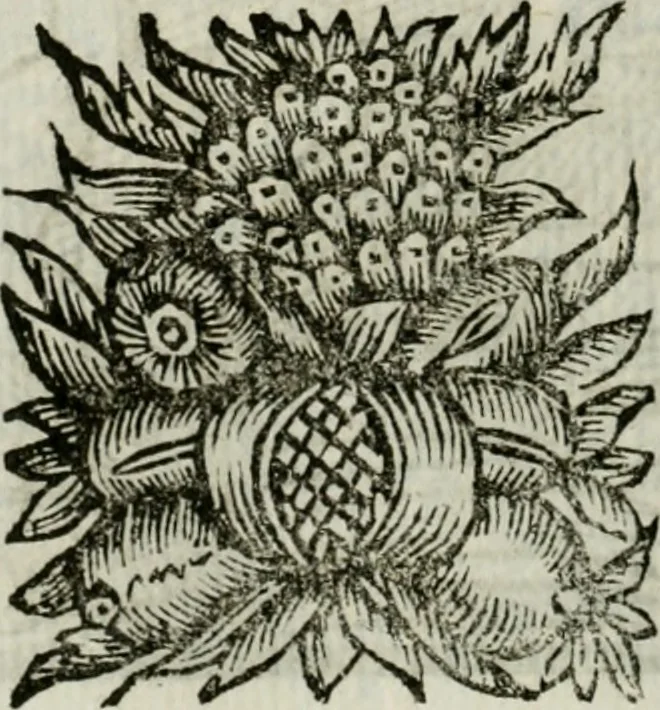 An illustration from La nuova architettura civile, e militare, 1717, leaf 291