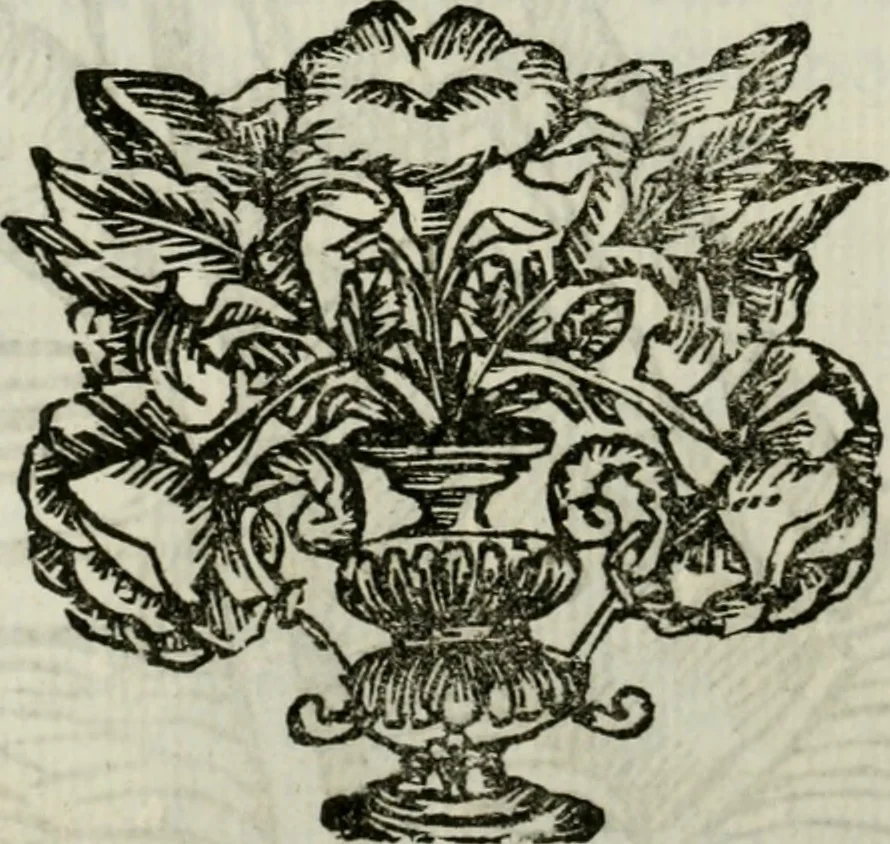An illustration from La nuova architettura civile, e militare, 1717, leaf 293