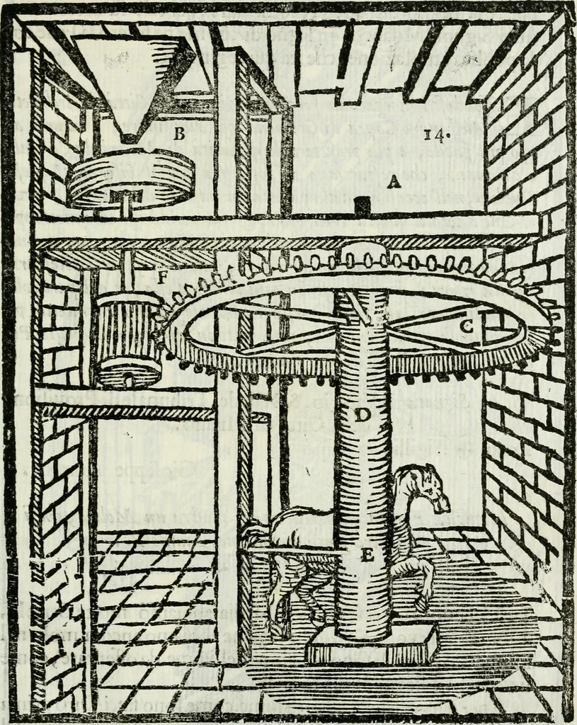 An illustration from La nuova architettura civile, e militare, 1717, leaf 314