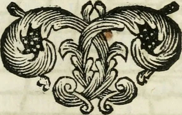 An illustration from La nuova architettura civile, e militare, 1717, leaf 340
