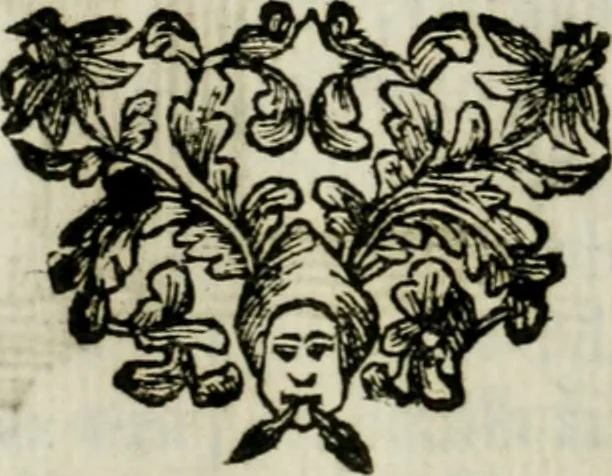 An illustration from La nuova architettura civile, e militare, 1717, leaf 367