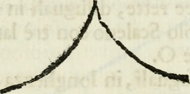 An illustration from La nuova architettura civile, e militare, 1717, leaf 406