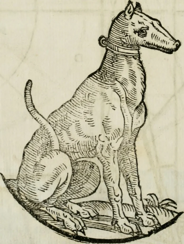 An illustration from La nuova architettura civile, e militare, 1717, leaf 427