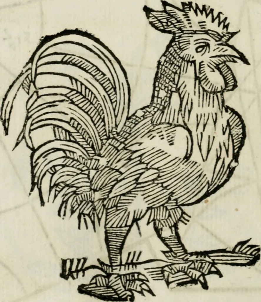 An illustration from La nuova architettura civile, e militare, 1717, leaf 433