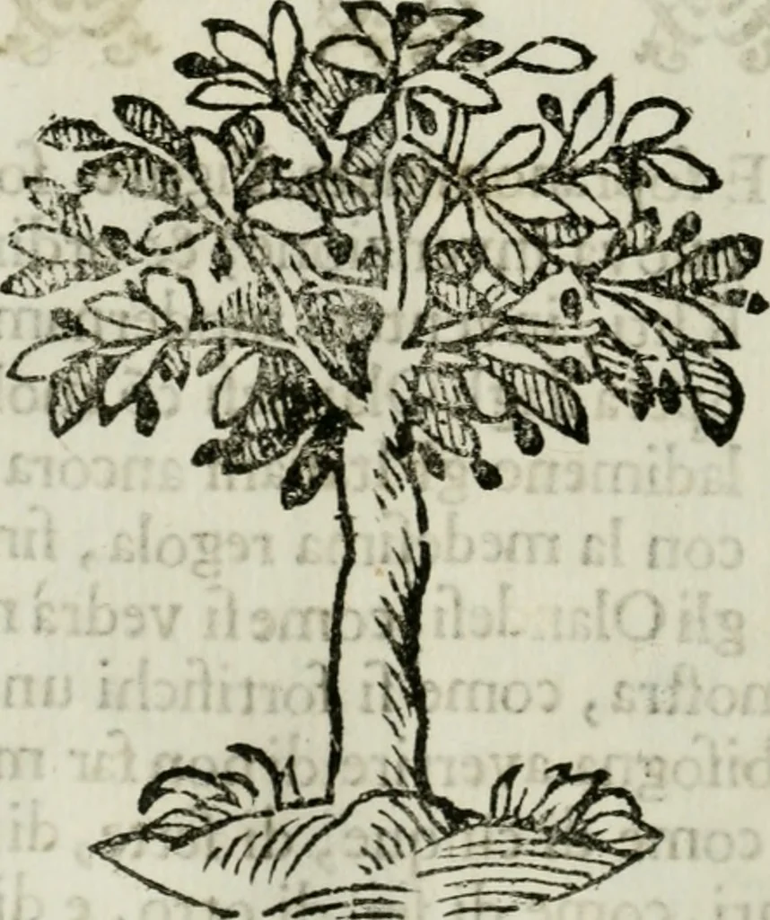 An illustration from La nuova architettura civile, e militare, 1717, leaf 453