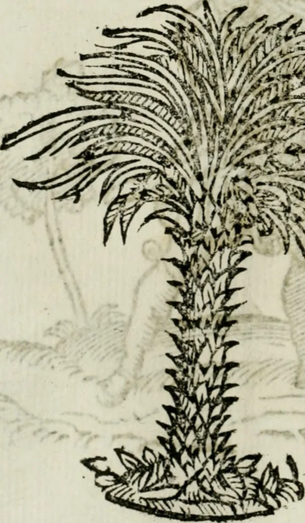 An illustration from La nuova architettura civile, e militare, 1717, leaf 465