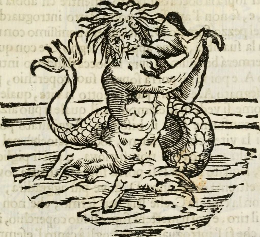 An illustration from La nuova architettura civile, e militare, 1717, leaf 478
