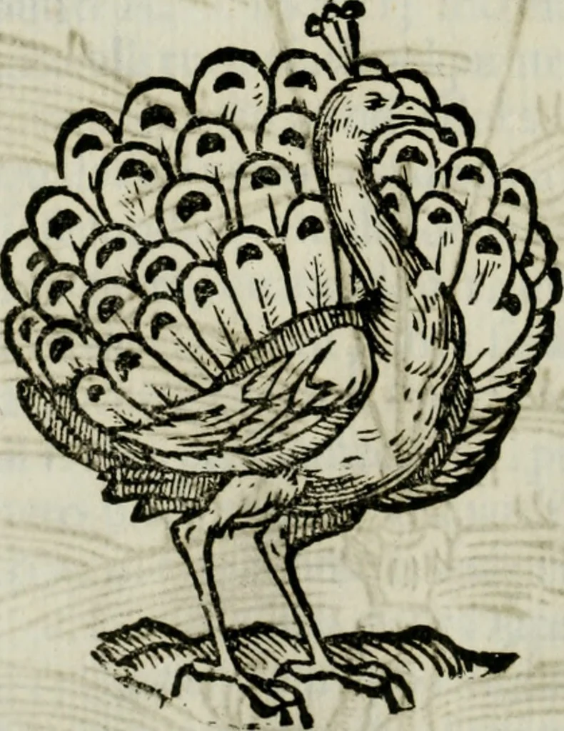 An illustration from La nuova architettura civile, e militare, 1717, leaf 493