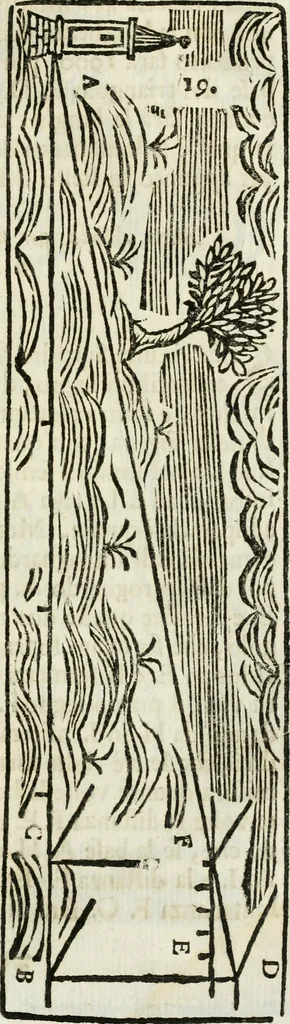 An illustration from La nuova architettura civile, e militare, 1717, leaf 496