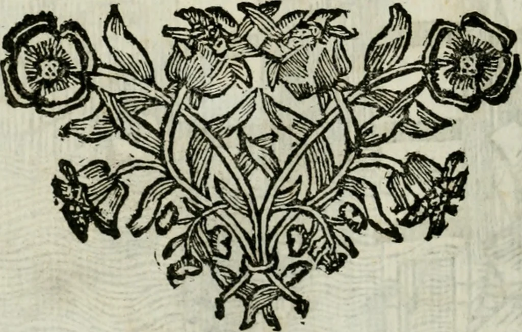 An illustration from La nuova architettura civile, e militare, 1717, leaf 509