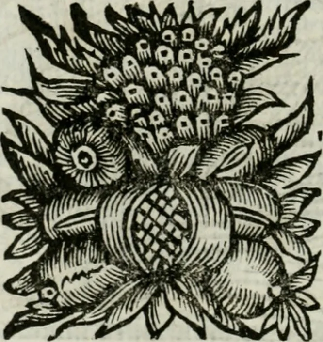 An illustration from La nuova architettura civile, e militare, 1717, leaf 523