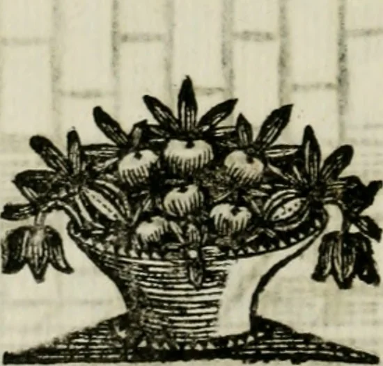 An illustration from La nuova architettura civile, e militare, 1717, leaf 551