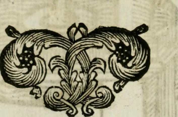 An illustration from La nuova architettura civile, e militare, 1717, leaf 561