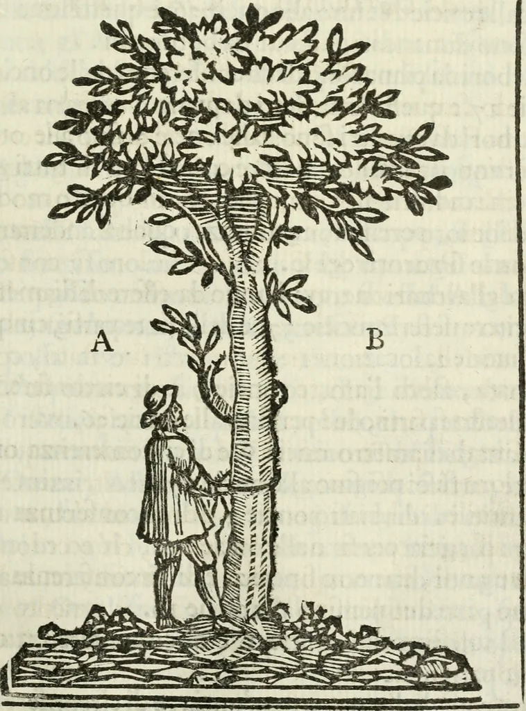 An illustration from La nuova architettura civile, e militare, 1717, leaf 92