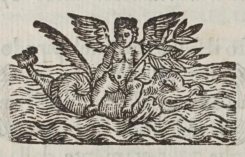 An illustration from La operazione del compasso geometrico, et militare, 1640, leaf 46