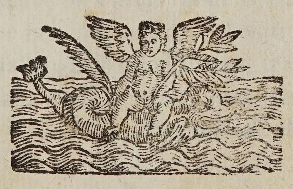 An illustration from La operazione del compasso geometrico, et militare, 1640, leaf 9