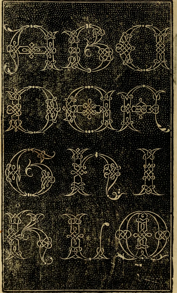 An illustration from La operina di Ludouico Vicentino, da imparare di scriuere littera cancellarescha, 1524, leaf 53