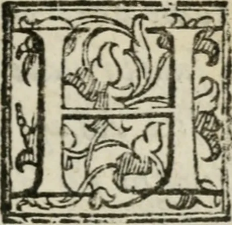 An illustration from La Pavia trionfante, 1606, leaf 14
