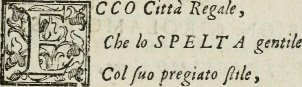 An illustration from La Pavia trionfante, 1606, leaf 18