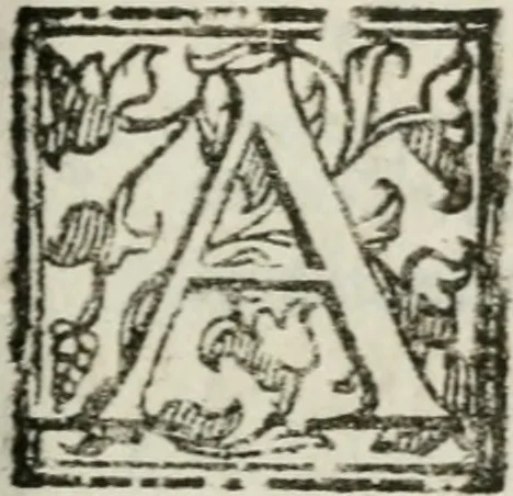 An illustration from La Pavia trionfante, 1606, leaf 20