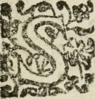 An illustration from La Pavia trionfante, 1606, leaf 25